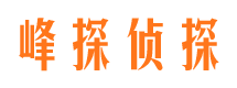 潢川调查公司